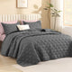 Litanika Quilt 3 Piece Bed Cover Set, Lightweight Reversible Stitched Bedspread with 2 Pillow Shams for All Season